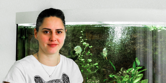 Moltein Testimonial Kundenstimmen